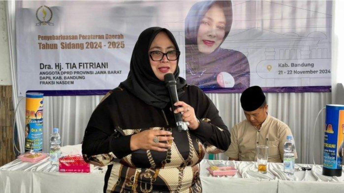 Tia Fitriani Dorong Dedi Mulyadi Hadir di DPRD Jawa Barat: Respon atas Kritik Gubernur