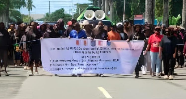 pencaker papua selatan