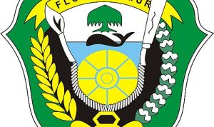 DPRD Flores