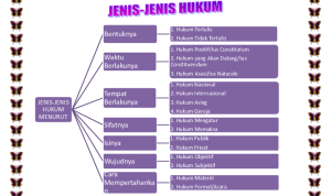 jenis hukum