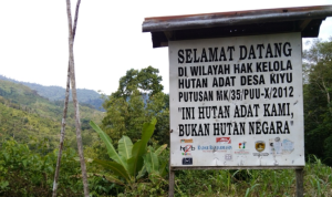 Taman Nasional Meratus (walhi) Taman Nasional Meratus, Kalimantan Selatan