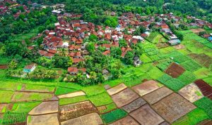 Village.JPG