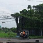 Kabel Internet Berantakan di Pasuruan Ancam Keselamatan Warga, DPRD Minta Regulasi Jelas