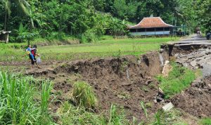 Jalan Kampung di Bantul Amblas 2 Kali, DPRD Minta Kajian Ulang, Pemkab Siapkan Dua Opsi Jalan Kampung di Bantul Amblas 2 Kali, DPRD Minta Kajian Ulang, Pemkab Siapkan Dua Opsi