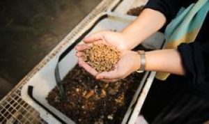 DPRD Kota Bandung: Magotisasi Berpotensi, Minta Solusi Cepat dari Pemerintah DPRD Kota Bandung: Magotisasi Berpotensi, Minta Solusi Cepat dari Pemerintah