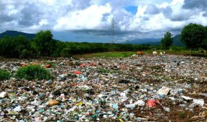 Sampah dan Ruang Terbuka Hijau Jadi Sorotan, DPRD Cirebon Minta DLH Perbaiki Layanan 2026