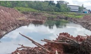 Isu Limbah Sawit Menjadi Perhatian Serius DPRD Berau