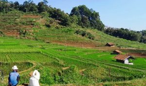 Sumedang Paling Maju dalam Ekosistem Rebana di Jawa Barat Sumedang Paling Maju dalam Ekosistem Rebana di Jawa Barat