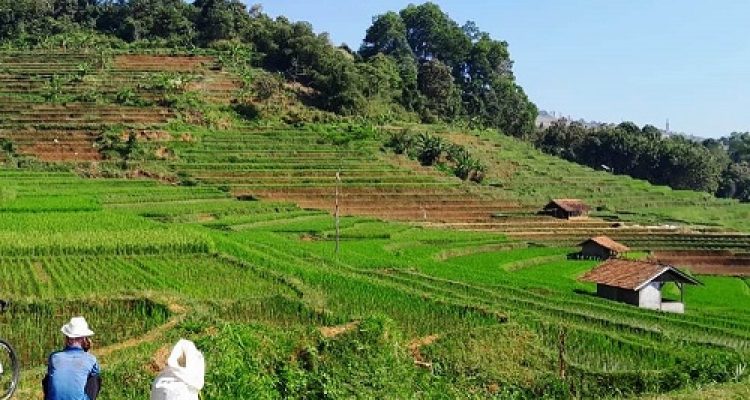 Sumedang Paling Maju dalam Ekosistem Rebana di Jawa Barat
