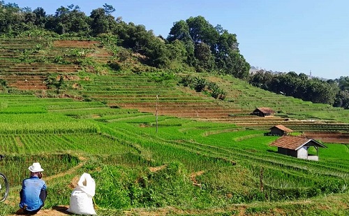 Sumedang Paling Maju dalam Ekosistem Rebana di Jawa Barat