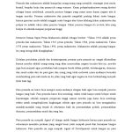 75 Pemuda Sorong Diasah Parpol, Belajar Politik Santun dan Ekonomi Kreatif