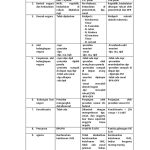 Jelaskan Perbedaan Sistem Pemerintahan UUD RIS dan UUDS 1950
