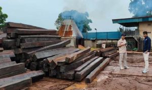 Tersangka Kasus Kayu Phat Ilegal Dilimpahkan Ke Kejari Batam