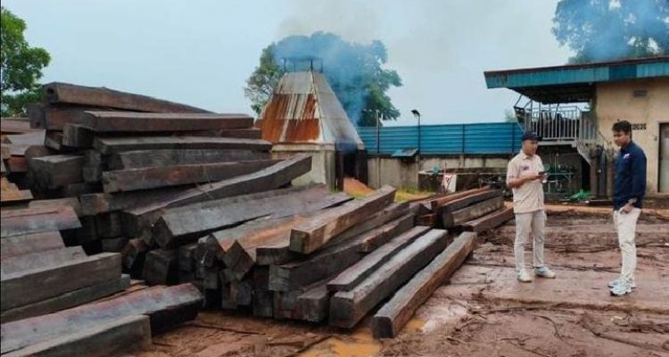 Tersangka Kasus Kayu Phat Ilegal Dilimpahkan Ke Kejari Batam