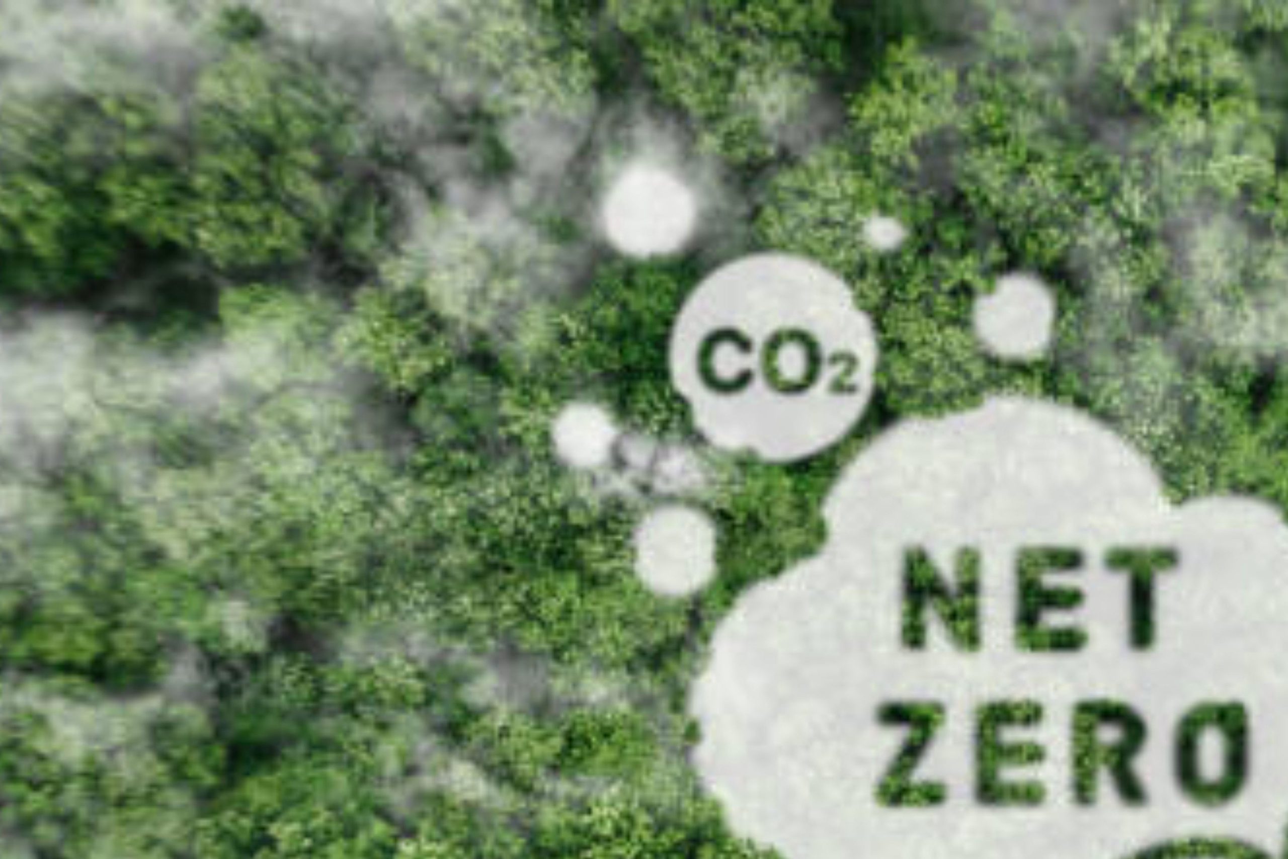 Komunitas global dukung inisiatif Indonesia promosikan karbon bersih