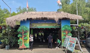 Wisata Mangrove Surabaya Jalan di Tempat, PAD Ikut Tersandera