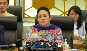 Komisi IV DPR Bentuk Panja Alih Fungsi Lahan Akibat Bencana Sumatera