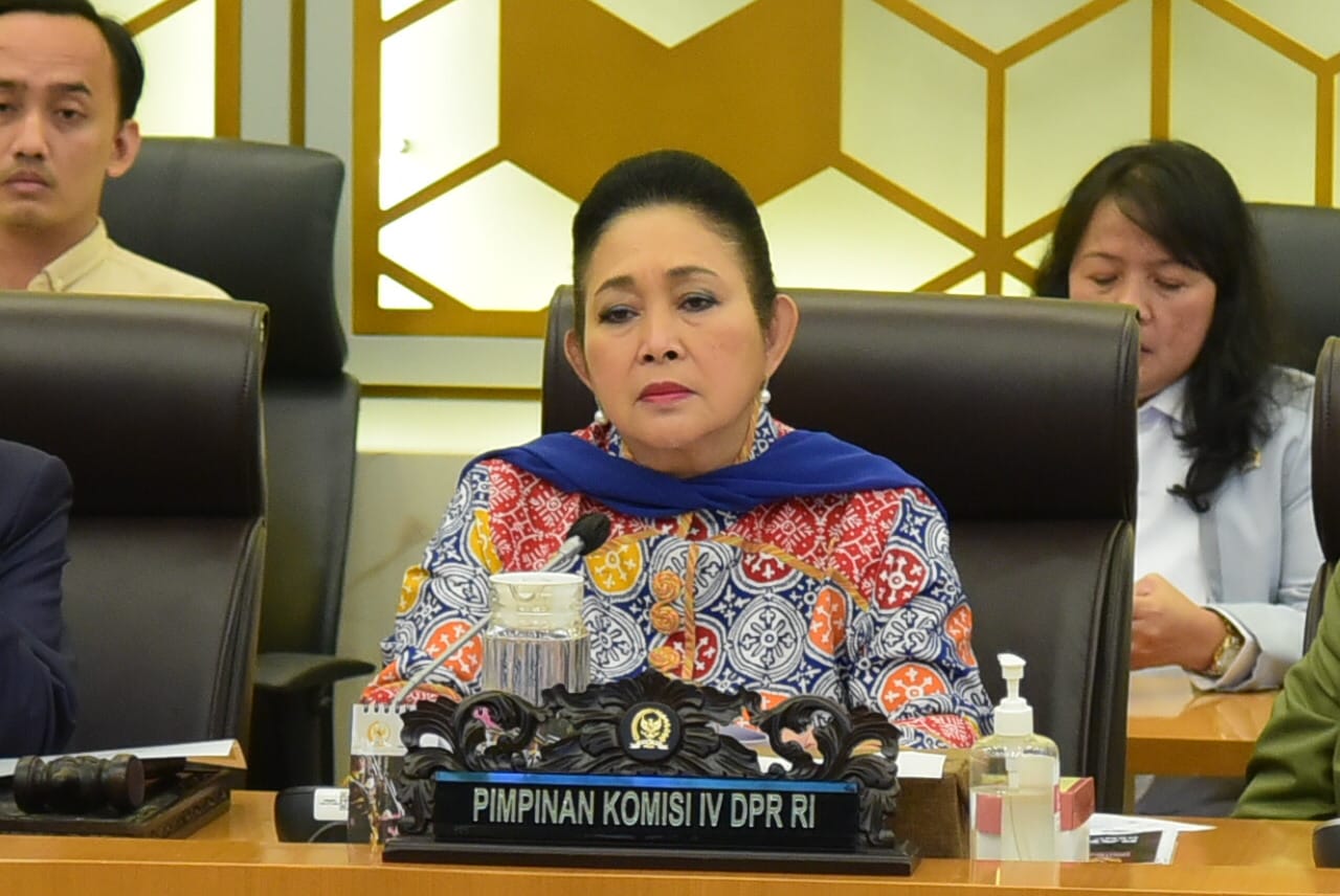 Komisi IV DPR Bentuk Panja Alih Fungsi Lahan Akibat Bencana Sumatera