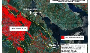 Desakan WALHI: 10 Ribu Hektare Hutan Hilang Akibat Banjir Sumut Desakan WALHI: 10 Ribu Hektare Hutan Hilang Akibat Banjir Sumut