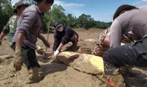 DPRD Medan Minta Pemerintah Tetapkan Bencana Sumatra sebagai Bencana Nasional DPRD Medan Minta Pemerintah Tetapkan Bencana Sumatra sebagai Bencana Nasional