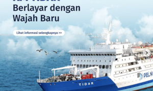 Jadwal Kapal Pelni Rute Kupang-Kijang Bulan Januari 2026: Tiket Diskon Rp717.500
