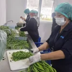 Perluasan Jaringan SPPG, 19 Ribu Lebih Siap Layani 55 Juta Penerima MBG Tahun Ini