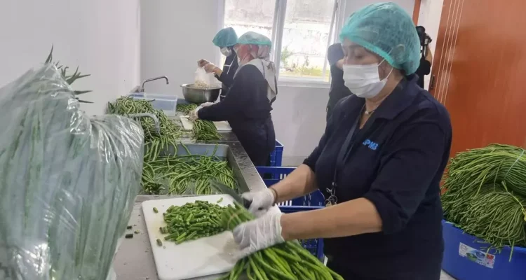 Perluasan Jaringan SPPG, 19 Ribu Lebih Siap Layani 55 Juta Penerima MBG Tahun Ini