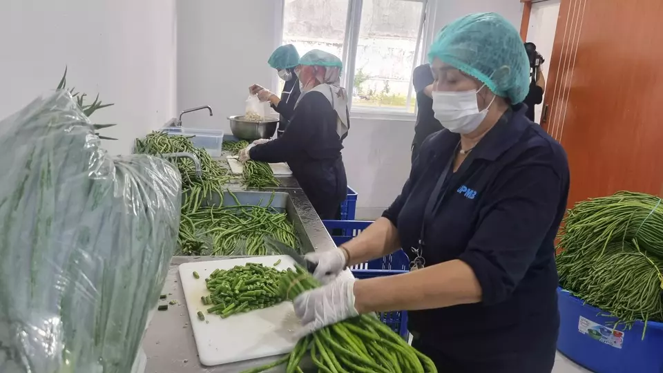 Perluasan Jaringan SPPG, 19 Ribu Lebih Siap Layani 55 Juta Penerima MBG Tahun Ini