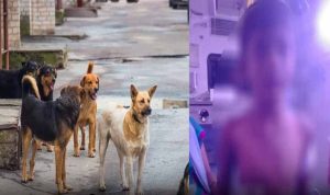 Donasi diinisiasi untuk ibu korban serangan anjing di Shelburne County