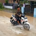 Cuaca Ekstrem Mengguncang Probolinggo, Banyak Pohon Tumbang dan Rumah Rusak
