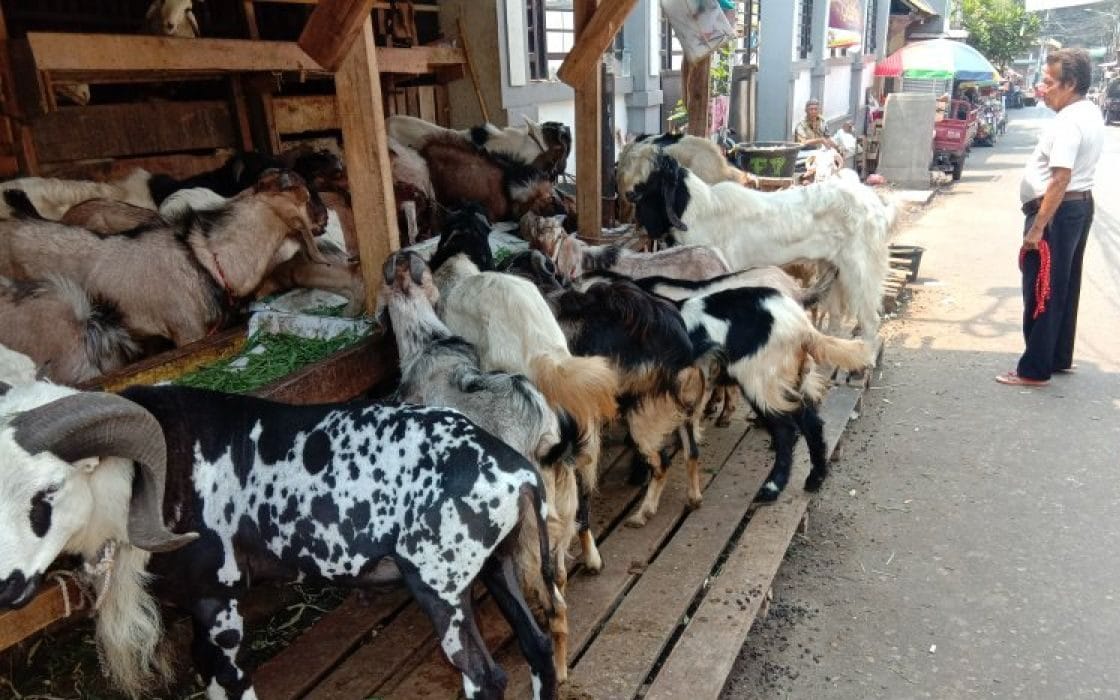 Inovasi Digital Bantu UMKM Beradaptasi di Era Baru, Daging Kemasan Digital