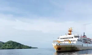 Jadwal Pelayaran Kapal Pelni KM Wilis Tahun 2026