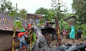 Peringatan BMKG Cuaca Ekstrem: Hujan Lebat dan Angin Kencang Mengancam Wilayah Surabaya Peringatan BMKG Cuaca Ekstrem: Hujan Lebat dan Angin Kencang Mengancam Wilayah Surabaya