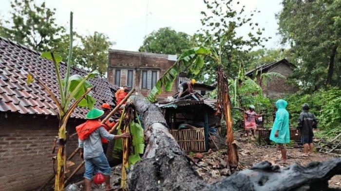 Peringatan BMKG Cuaca Ekstrem: Hujan Lebat dan Angin Kencang Mengancam Wilayah Surabaya