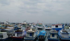 Jadwal Kapal Pelni KM Tatamailau untuk Bulan Januari 2026