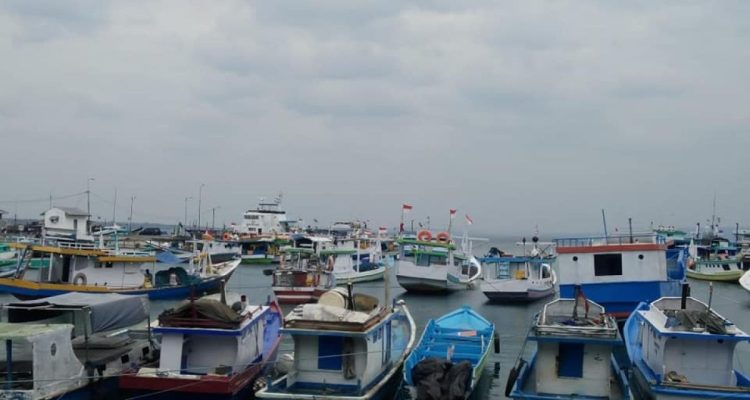 Jadwal Kapal Pelni KM Tatamailau untuk Bulan Januari 2026