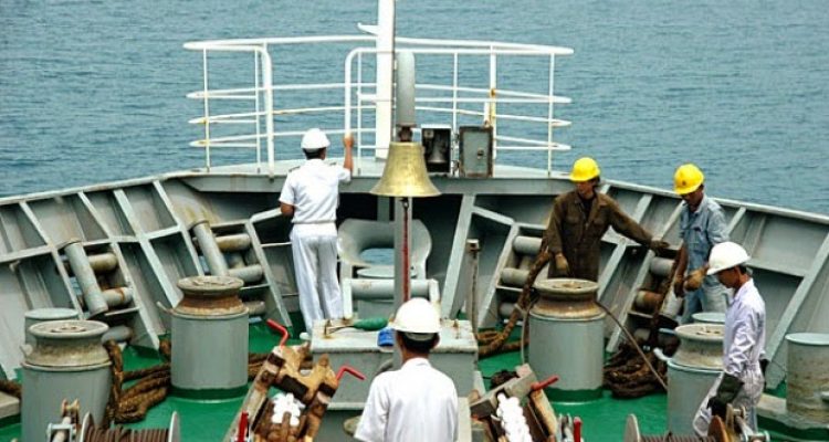 Peluang Karier di BUMN, PELNI Membuka Kesempatan Kerja untuk Lulusan D3 dan Fresh Graduate