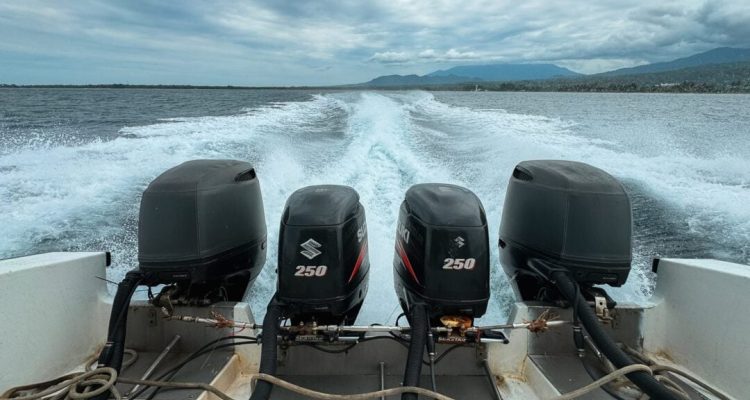 Jadwal dan Harga Tiket Kapal Feri Lombok-Bali Januari 2026, yang Perlu Diketahui