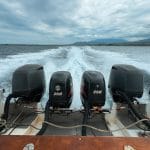 Jadwal dan Harga Tiket Kapal Feri Lintas Lombok-Bali pada 1 Februari 2026