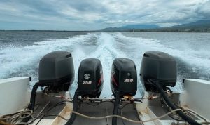 Jadwal Kapal Feri Lombok-Bali Jumat 30 Januari 2026 Jadwal Kapal Feri Lombok-Bali Jumat 30 Januari 2026