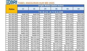 Tabel KUR BRI 2026 Hingga Ratusan Juta, Ini Manfaatnya bagi UMKM Tabel KUR BRI 2026 Hingga Ratusan Juta, Ini Manfaatnya bagi UMKM