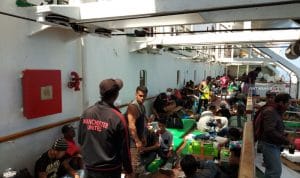 Jadwal Kapal Pelni KM Ciremai Februari-Maret 2026: Rute dan Informasi Terkini