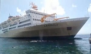 Jadwal Kapal Laut Balikpapan ke Makassar Bulan Februari 2026