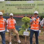 Inisiatif Lingkungan PT Terminal Petikemas Surabaya: Konservasi Alam Melalui Penanaman Pohon Pinus