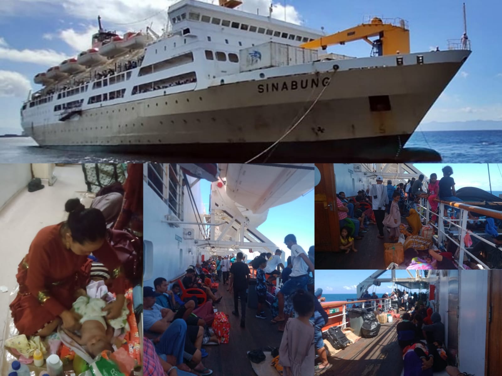 Jadwal Kapal Pelni KM Sinabung Tahun 2026: Rute dan Waktu Kedatangan di Jayapura
