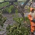 Dampak Cuaca Ekstrem di Surabaya: Listrik Padam dan Infrastruktur Rusak