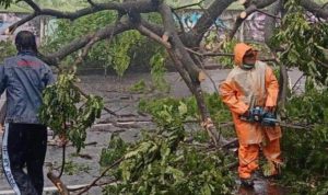 Dampak Cuaca Ekstrem di Surabaya: Listrik Padam dan Infrastruktur Rusak