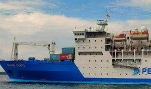 Jadwal Kapal Pelni Jakarta-Manokwari Februari 2026: Pilihan Rute dan Harga Tiket