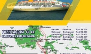 Jadwal Kapal Pelni: Rute dan Waktu Keberangkatan KM Lambelu Bulan Februari hingga Maret 2026