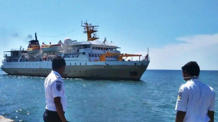 Jadwal Kapal Pelni KM Wilis untuk Bulan Maret dan April 2026